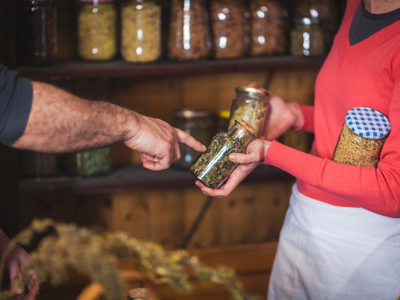 Small Business Ideas in the Growing Cannabis Industry